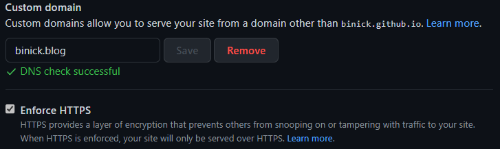 Depiction of the Pages section in the GitHub settings showing the correct configuration of DNS records and HTTPS enabled.