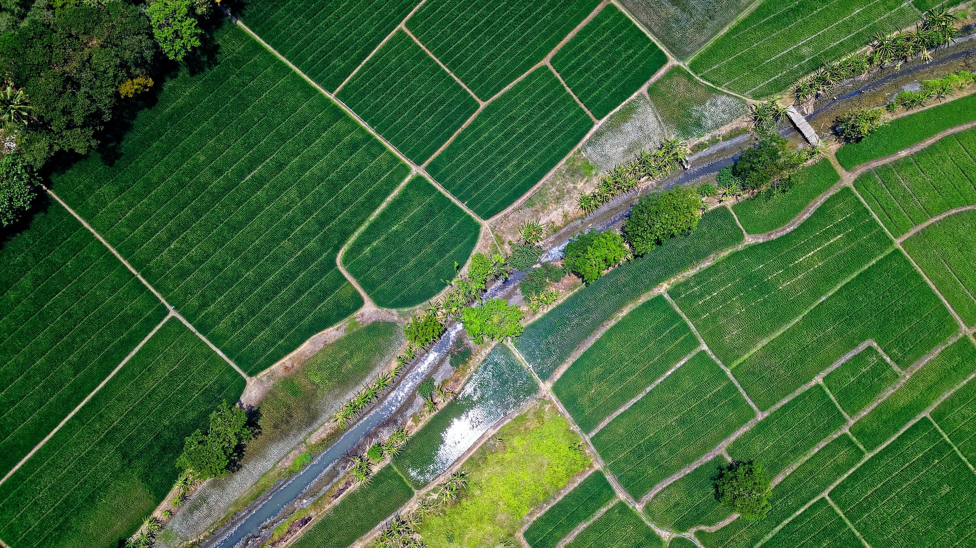 Verticale su appezzamenti di terra attraversati da un canale di irrigazione